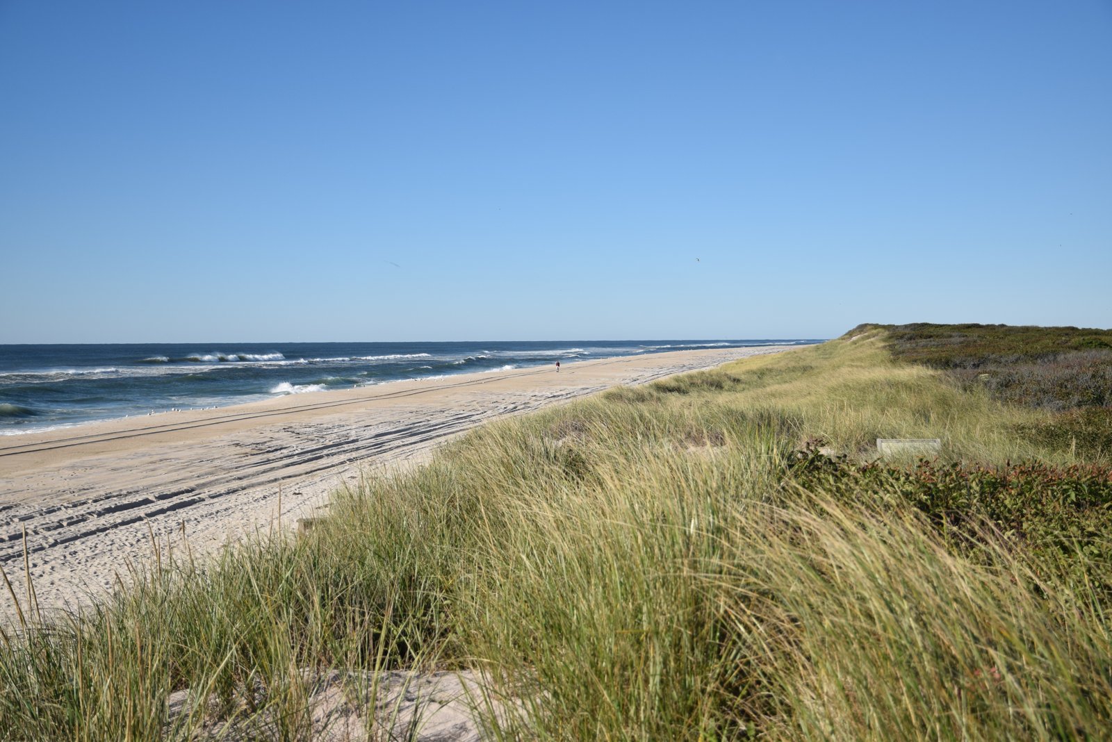 Natural sand, coastal grasses, and Atlantic waves at Barrett Beach on Fire Island, Long Island